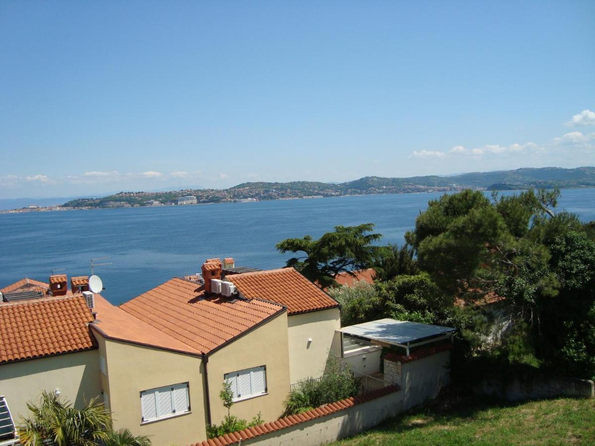 Apartman Carmen Crveni Vrh Zewnętrze zdjęcie